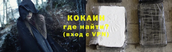 PSILOCYBIN Дмитриев