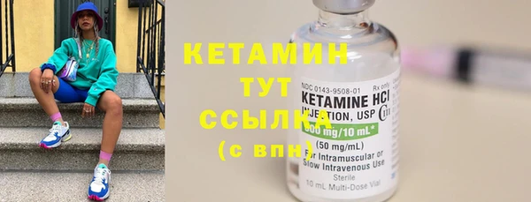 хмурый Дмитров