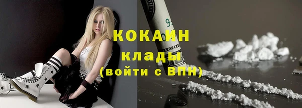 хмурый Дмитров