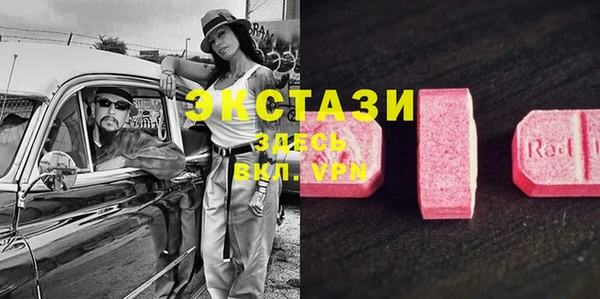 хмурый Дмитров
