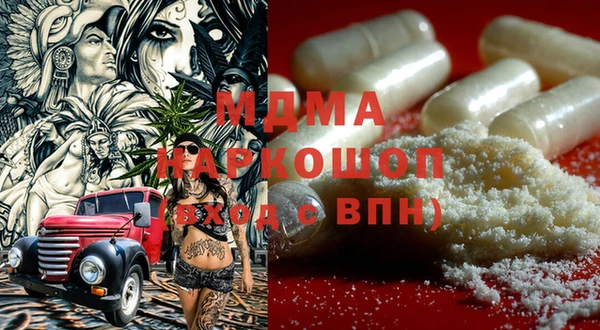 индика Гусев