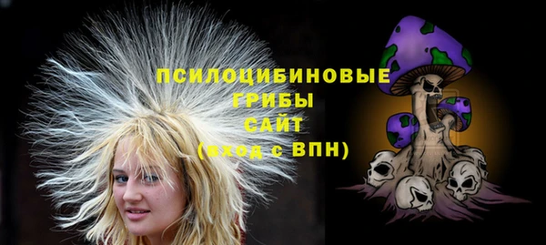 хмурый Дмитров